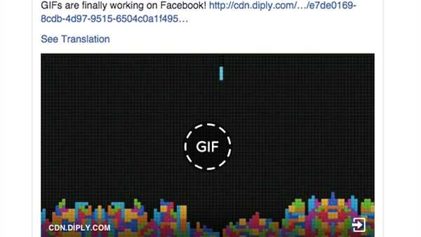 Facebook, GIF desteğine kavuştu