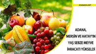 Adana, Mersin ve Hatay’ın yaş sebze meyve ihracatı yükseldi