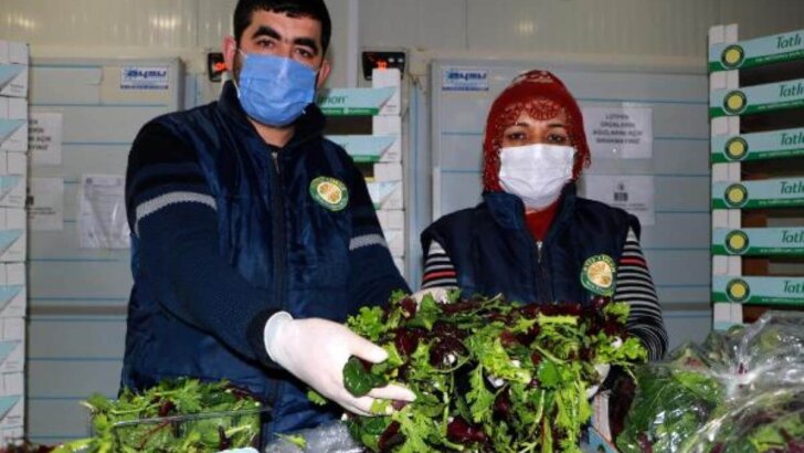 Adana’dan Dubai’ye  5 ton salata ihracatı