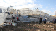 Adana ve Mersin’de fırtına nedeniyle çatılar uçtu, seralar zarar gördü