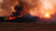 Adana Aladağ’daki orman yangını iki ilçeye daha sıçradı