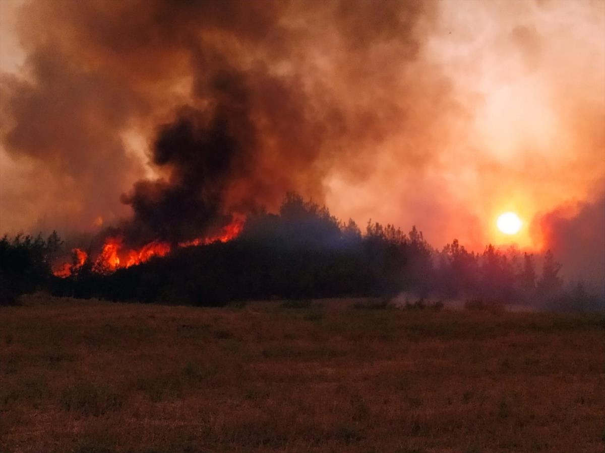 Adana Aladağ’daki orman yangını iki ilçeye daha sıçradı