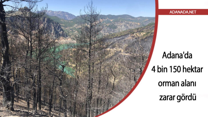 Adana’da 4 bin 150 hektar orman alanı zarar gördü