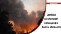 Adana’nın Saimbeyli ilçesinde çıkan orman yangını kontrol altına alındı