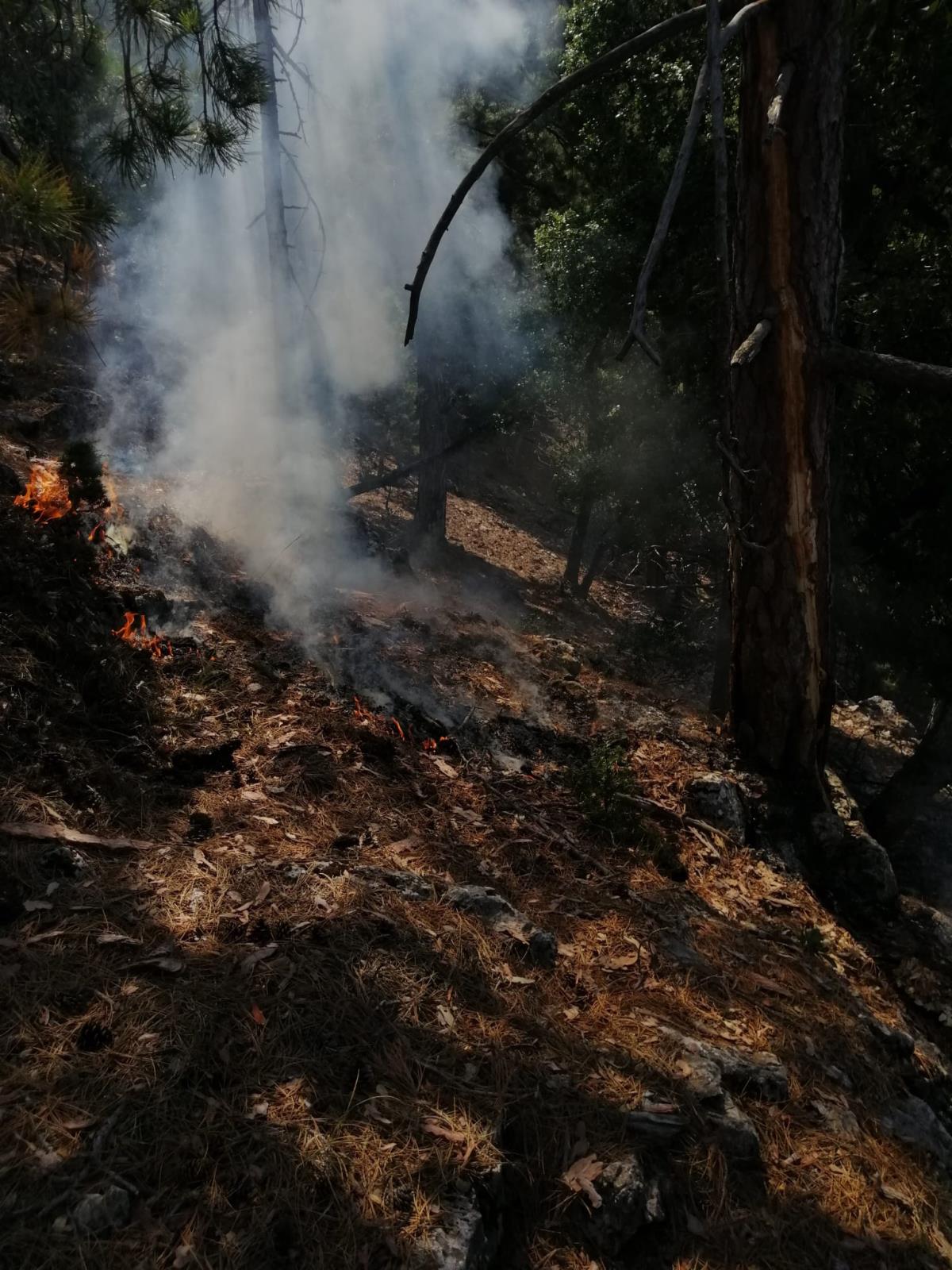 Adana Feke’de iki noktada çıkan orman yangınları kontrol altına alındı