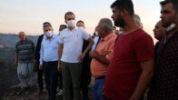 AK Partili Ömer Çelik: ‘Yanan alanların yapılaşmaya açılacağı yalan’