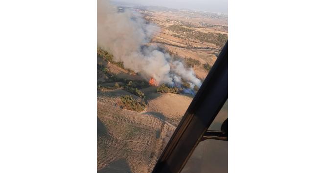 Adana’da ormanlık alanda yangın çıktı
