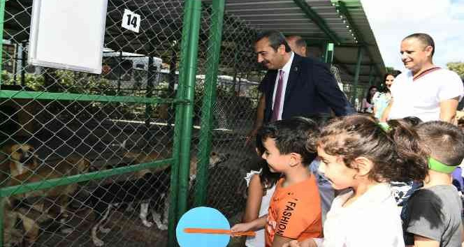 Başkan Çetin’den hayvan ambulansı müjdesi