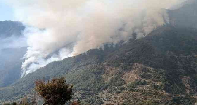 Osmaniye’deki orman yangını 3’ncü gününde büyüyerek devam ediyor
