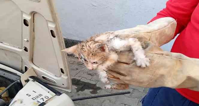 Otomobilin motor bölümünde sıkışan kedi yavrusunu itfaiye kurtardı