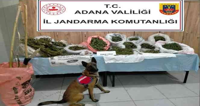Adana’da çiftlik evinde uyuşturucu ele geçirildi
