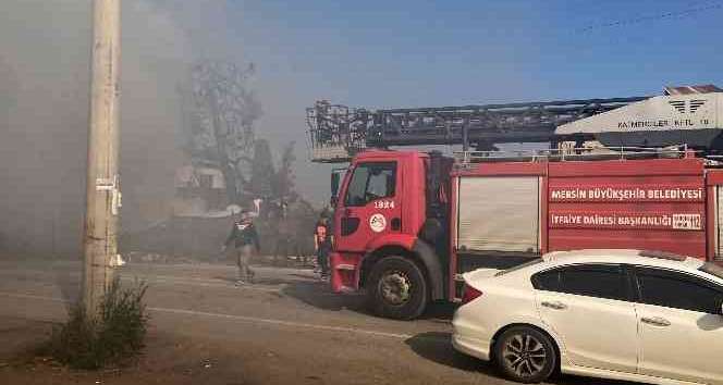 Yangın devasa ağacı sardı, ekiplerin müdahalesi ile eve sıçramadan söndürüldü