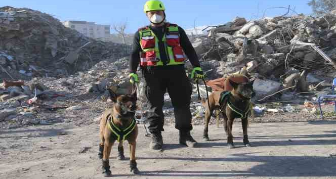 Kahraman köpekler: Asko ve Pia, 5 günde 10 kişiye ulaştı