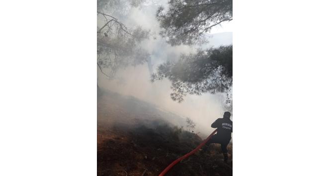 Mersin’de orman yangını, kontrol altına alındı