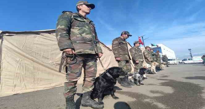 Azerbaycan’ın ‘hassas burunlu’ arama kurtarma köpekleri deprem bölgesinde