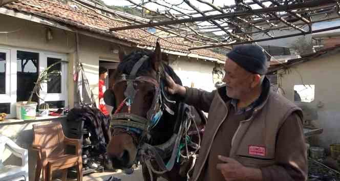 Depremde yıkılan ahırını tamir etmek için at arabasıyla kilometrelerce yol yapıyor