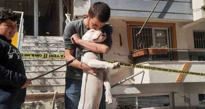 Kahraman köpek ‘Dora’, deprem anında kendisini siper ederek sahiplerini korudu