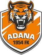 Adana 1954 FK 3.Ligde , Vefaspor Play-off oynayacak