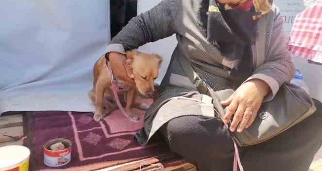 Kahramanmaraş’ta depremde kendisini kurtaran köpeğiyle beraber çadır kentte yaşamını sürdürüyor