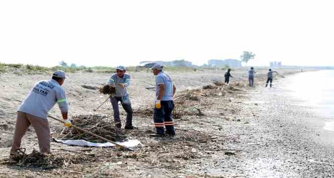 Mersin’de caretta carettaların üreme alanı sahiller temizleniyor