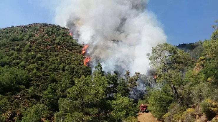 Adana’da Topalak Köyü kırsalında Orman Yangını