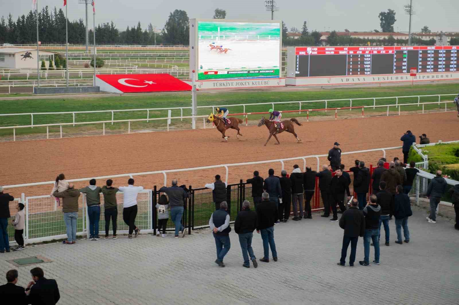 Seyhan Belediye Başkanlığı at yarışı yapıldı