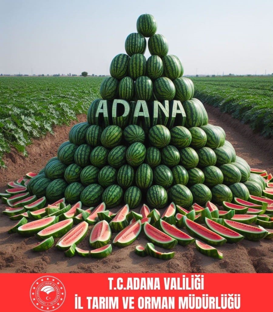 Adana karpuz üretiminde Türkiye’de birincisi oldu