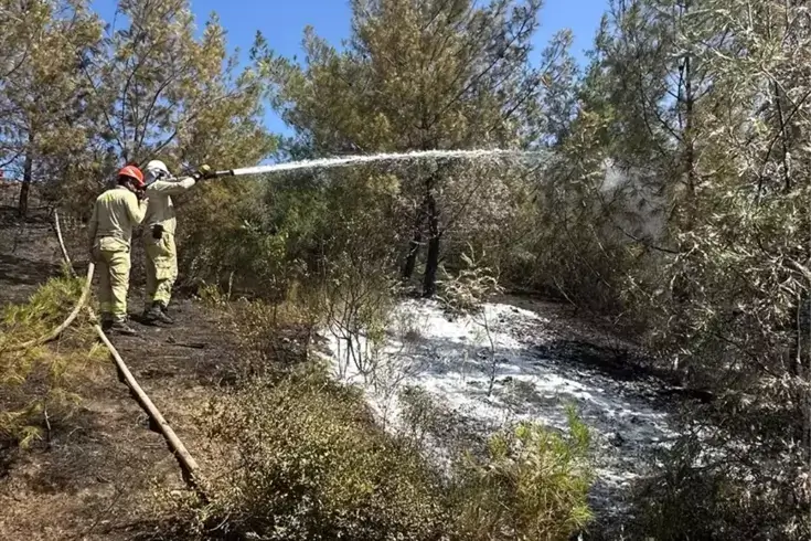 Adana’da Orman Yangınına Hava ve Kara Müdahalesi